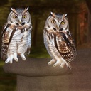 UncaughtPromiseError > OwlError Uncaught Promise > An error occured in the owl lifecycle (see this Error's "cause" property) OwlError: An error occured in the owl lifecycle (see this Error's "cause" property)     at handleError (https://essatrading.theguruway.com/web/assets/236-6aacd16/web.assets_common.min.js:1140:101)     at owl.App.handleError (https://essatrading.theguruway.com/web/assets/236-6aacd16/web.assets_common.min.js:1975:29)     at RootFiber._render (https://essatrading.theguruway.com/web/assets/236-6aacd16/web.assets_common.min.js:1385:19)     at RootFiber.render (https://essatrading.theguruway.com/web/assets/236-6aacd16/web.assets_common.min.js:1383:6)     at ComponentNode.render (https://essatrading.theguruway.com/web/assets/236-6aacd16/web.assets_common.min.js:1458:56)  Caused by: TypeError: Cannot read properties of undefined (reading 'push')     at controller.config.setDisplayName (https://essatrading.theguruway.com/web/assets/274-fa6474d/web.assets_backend.min.js:16583:57)     at FormController.<anonymous> (https://essatrading.theguruway.com/web/assets/274-fa6474d/web.assets_backend.min.js:3874:1095)     at node.renderFn (https://essatrading.theguruway.com/web/assets/236-6aacd16/web.assets_common.min.js:1499:218)     at node.renderFn (https://essatrading.theguruway.com/web/assets/236-6aacd16/w